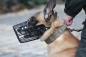 Preview: Draht-Einsatzkörbe für Diensthunde mit Seitenpolsterung, Gr.10+