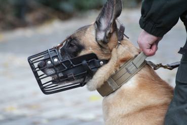 Draht-Einsatzkörbe für Diensthunde mit Seitenpolsterung, Gr.15+